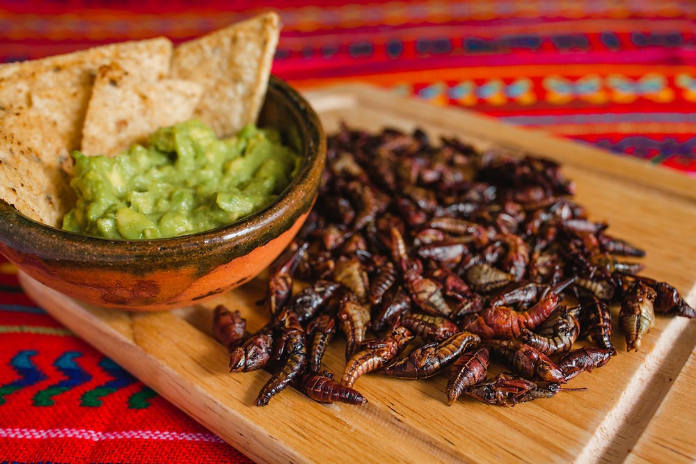Unusual Mexican Food to Try When You Visit
